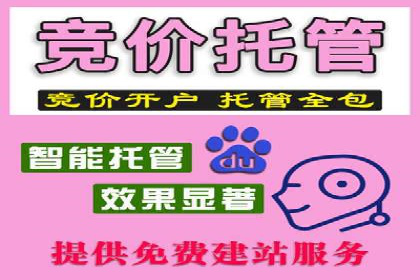 揭秘SEM推广竞价实战案例